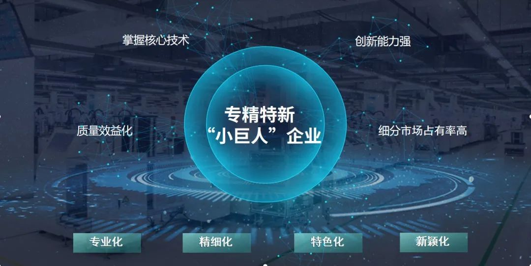专精特新小巨人企业